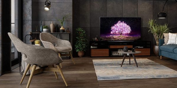 LG OLED48C1PUB 48" 4K Ultra High Definition OLED Smart C1 Series TV with an Additional 1 Year Coverage by Epic Protect (2021) 5